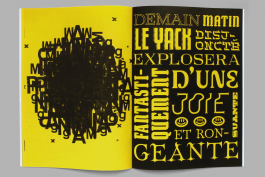  Florian Chevillard site web