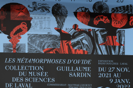 Florian Chevillard site web