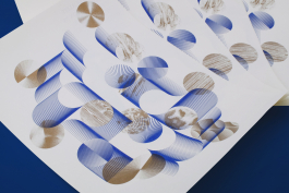 Florian Chevillard site web