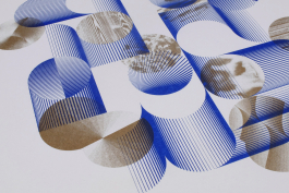 Florian Chevillard site web