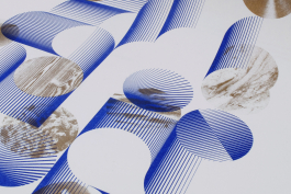 Florian Chevillard site web