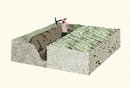  Florian Chevillard site web