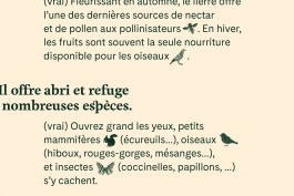  Florian Chevillard site web