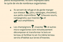  Florian Chevillard site web