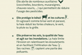  Florian Chevillard site web