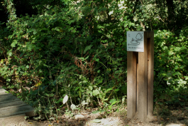  Florian Chevillard site web