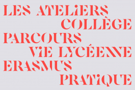  Florian Chevillard site web