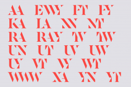  Florian Chevillard site web