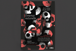 Florian Chevillard site web