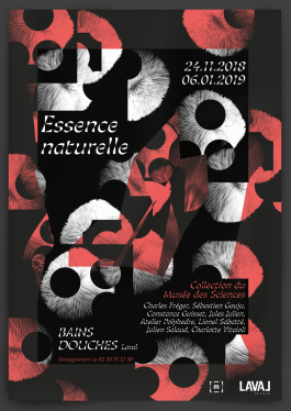  Florian Chevillard site web