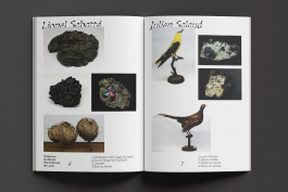 Florian Chevillard site web