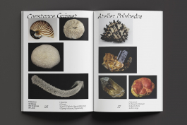 Florian Chevillard site web