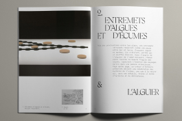  Florian Chevillard site web