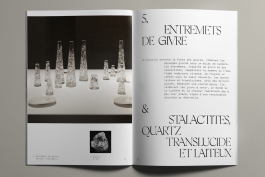  Florian Chevillard site web