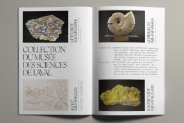  Florian Chevillard site web