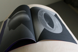 Florian Chevillard site web