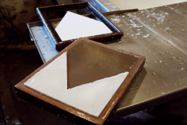 Florian Chevillard site web